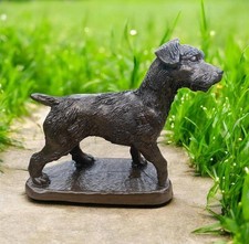 Patterdale- Rough Haired