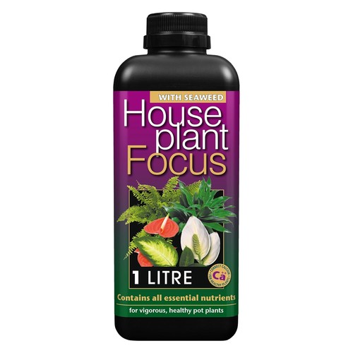 Growth technology houseplant - growth,