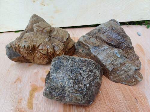 Elephant skin aquarium - skin, rock