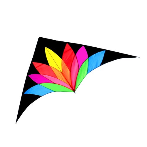 Large delta kite colorful easy - kite,