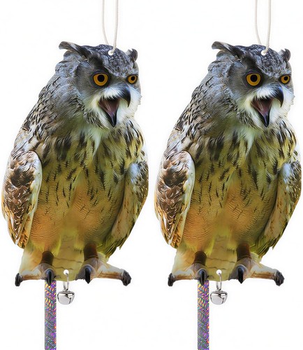 2pcs hawk bird - 2pcs,