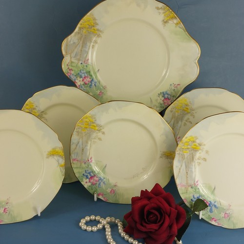 Paragon woodland bluebell - paragon,