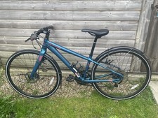 Ladies, small frame, Teal