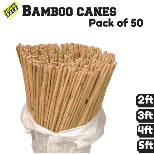 Bamboo heavy duty - x, garden