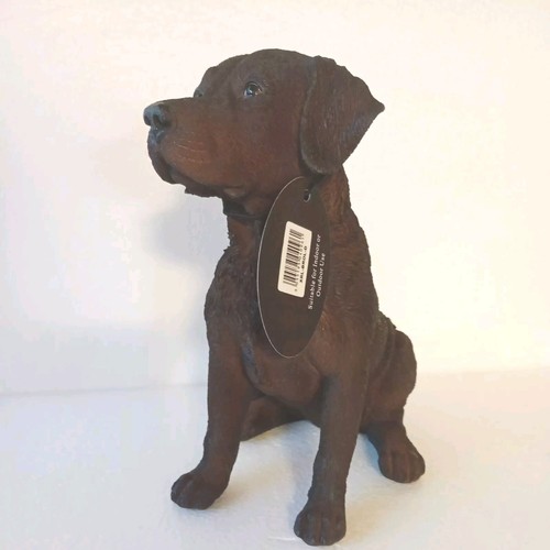Vivid arts chocolate labrador - arts,