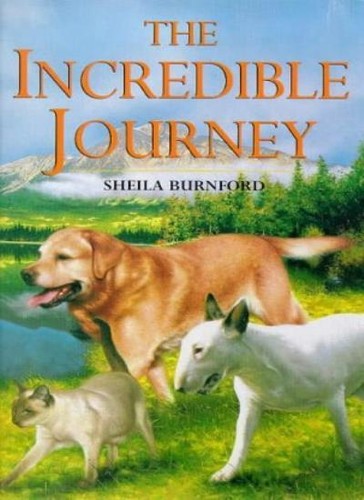 Incredible journey children s - journey, (children's