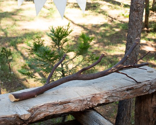 Manzanita wood branch for - wood,