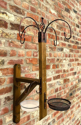 Wild bird feeding station - bird,