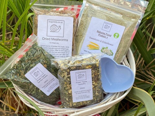 Giant african land - african, treat
