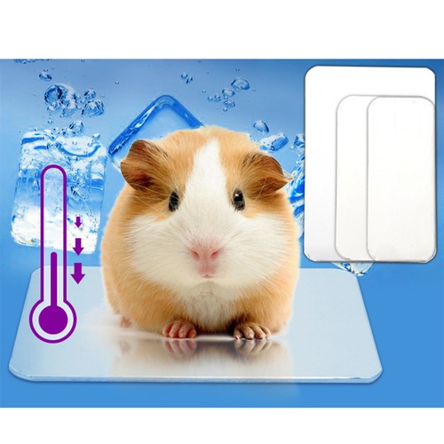 Cool mat for rabbits cooling - mat,