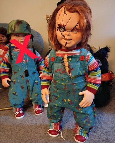 Seed chucky life - life, size