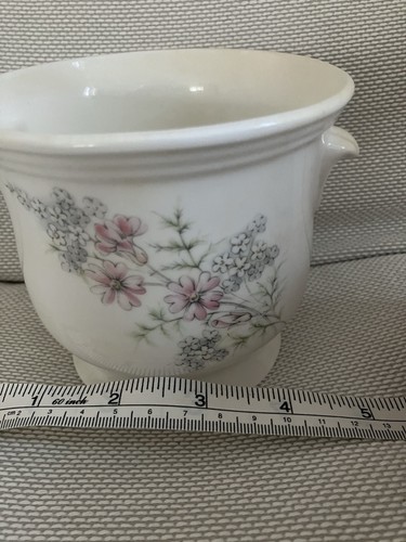 Bone china plant pot - bone,