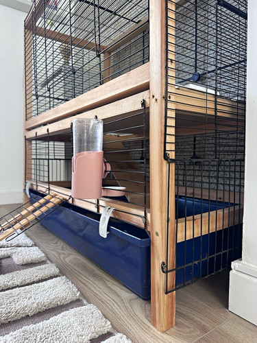 Wood tier rabbit guinea pig - 2,