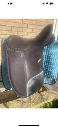 Isabelle werth dressage - werth,