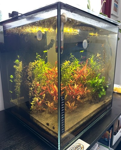 Aqua one nano reef - aqua, aquarium