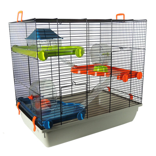 Little friends hamster gerbil - hamster,