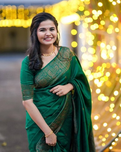 New saree blouse - new,