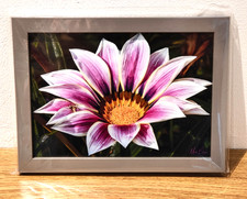 Wall Art "Daisy and spider",  Araluen, Western Australia 5x7" Framed Print