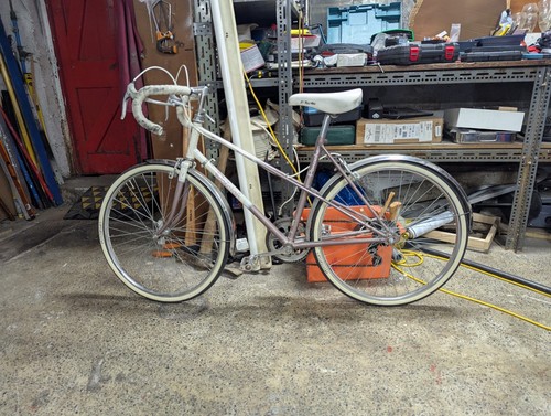 Raleigh vintage bike - raleigh,