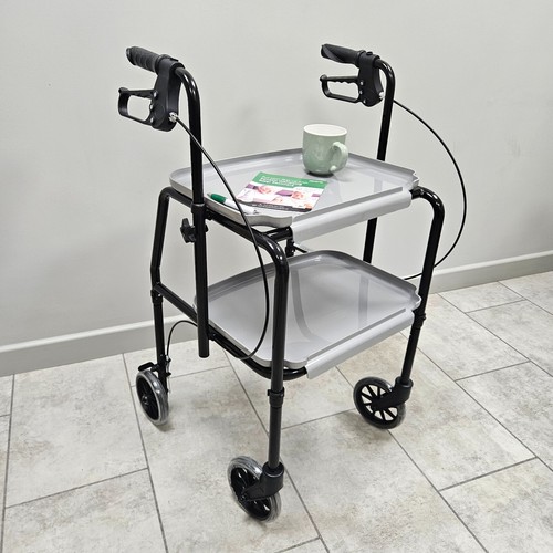 Mobility trolley walker