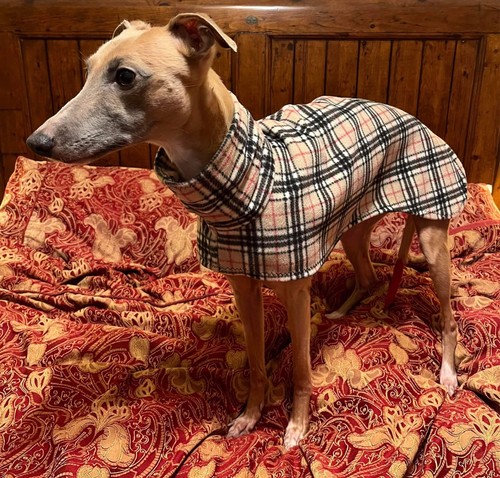 Classic tartan fleece - 22”,