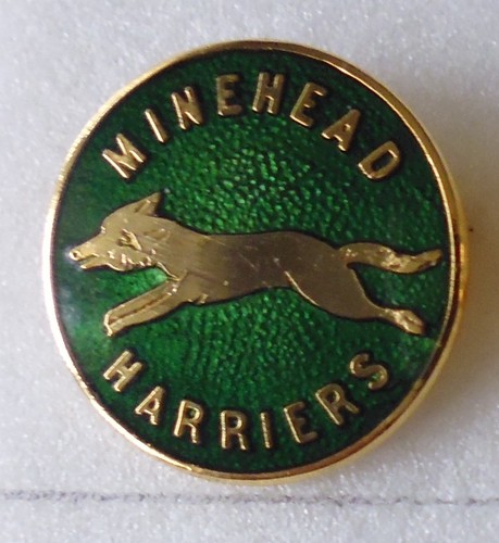 Minehead harriers enamel - harriers,