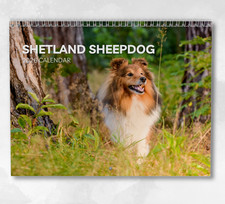 Shetland Sheepdog Calendar 2026: Monthly Wall Calendar with Notes, opens to A3