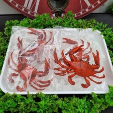 Artificial Fake Faux Food