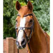 Premier Equine Glorioso Grackle Bridle - Brown or Black