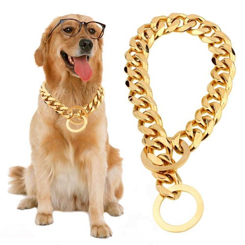 24in dog chain gold - 20/22/24in,