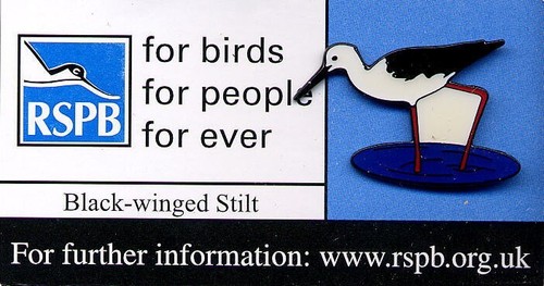 Rspb bird pin badge black - pin,