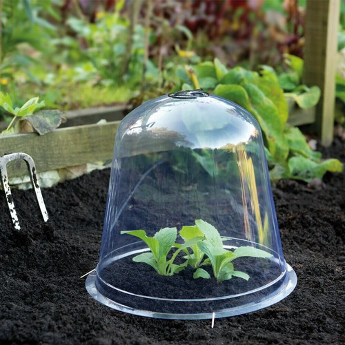 Garden bell cloche - bell, mini