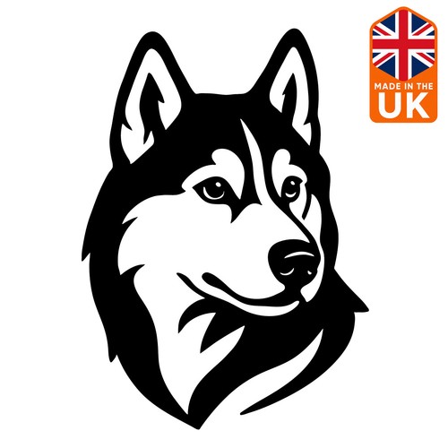 Siberian husky dog - head,