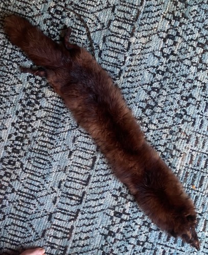 Antique fox fur - antique, 1900s