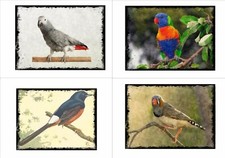 Vintage Cage Bird Aviary Metal