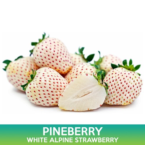 Pineberry seeds white alpine - white,