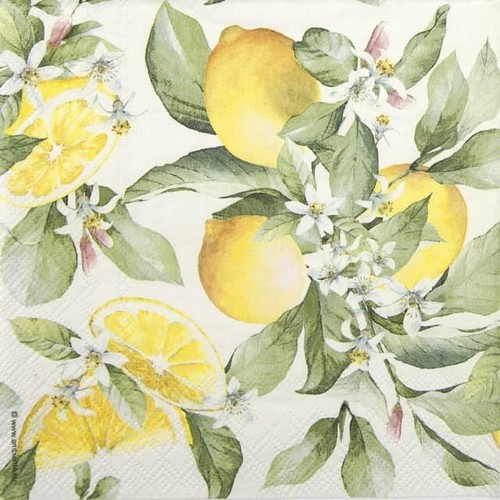 Single paper napkins for - single,
