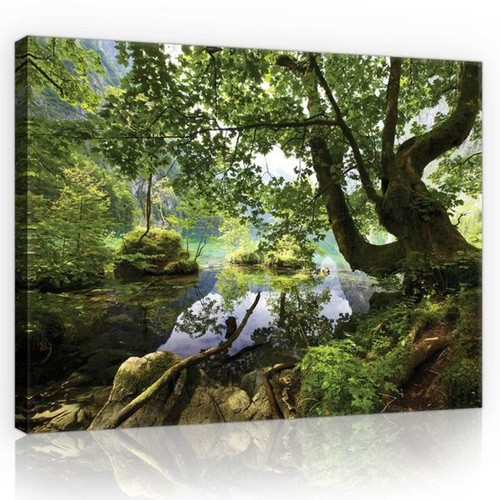 Canvas pictures wall - wall, print