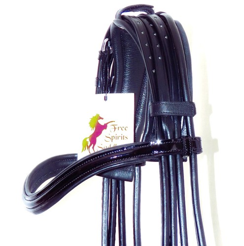 Fss anatomical headpiece poll - fss,