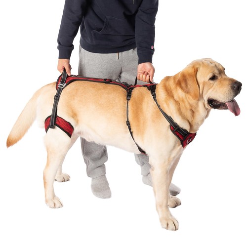 Mobility dog lift harness - mobility,