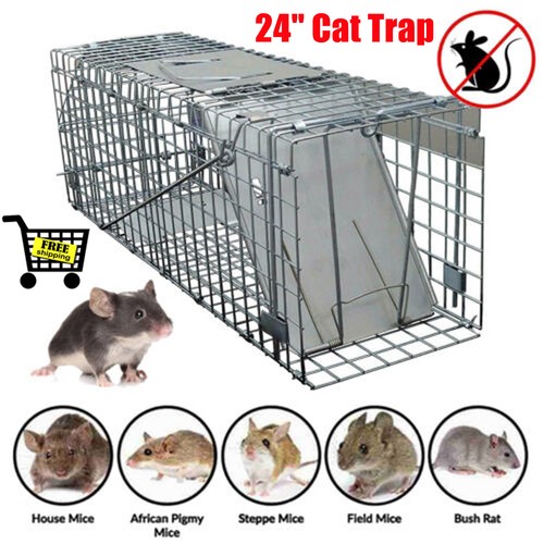 Cat trap for stray - for,