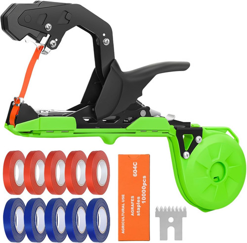 Professional plant tying - plant,