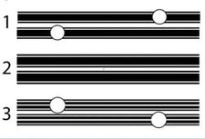 Fits VW Transporter Graphics
