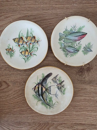 Vintage fish wall plates set - vintage,