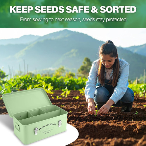 Seed storage box - storage, tin
