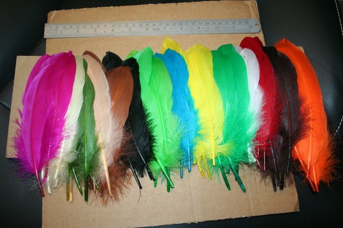 Fly tying dyed goose - fly, feathers