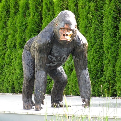 Gorilla bruce black brown - gorilla,