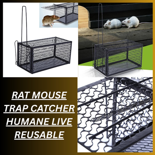 Rat mouse trap catcher - mouse, humane
