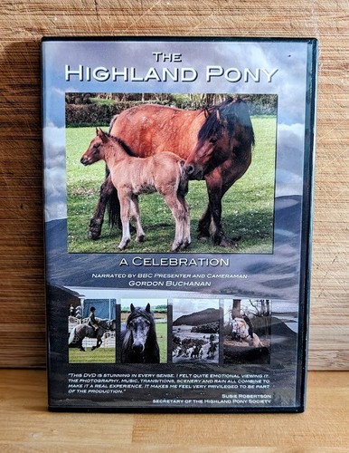 The highland pony - highland, pony: