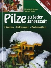 Pilze zu jeder Jahreszeit